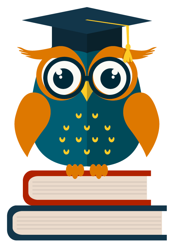 Wise Owl Logo